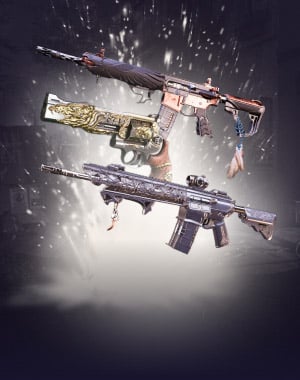 Raid Exotics Bundle