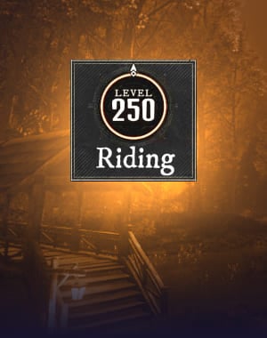 Riding  Skill 250 lvl