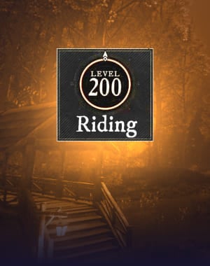 Riding Skill Leveling