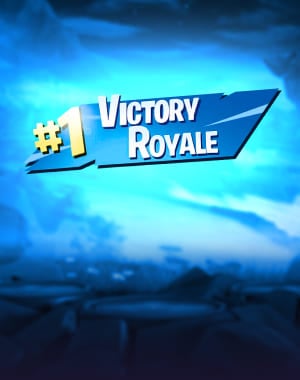 Fortnite Wins