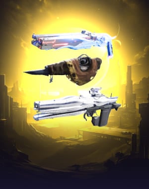 Raid Exotics Bundle