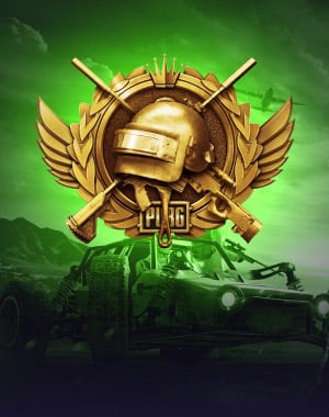PUBG Ranking