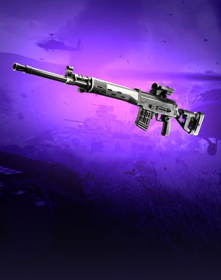 DMRs Leveling