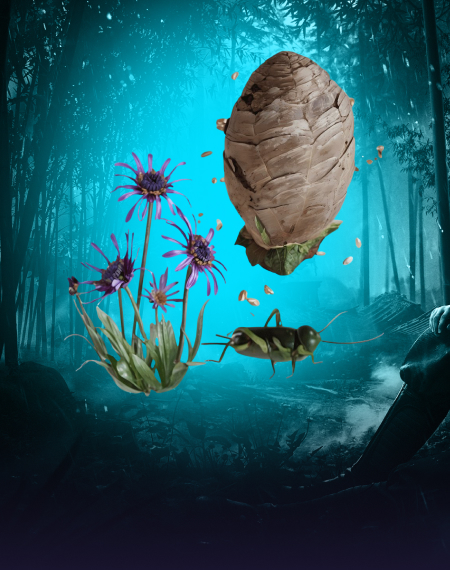 Oddities Farming